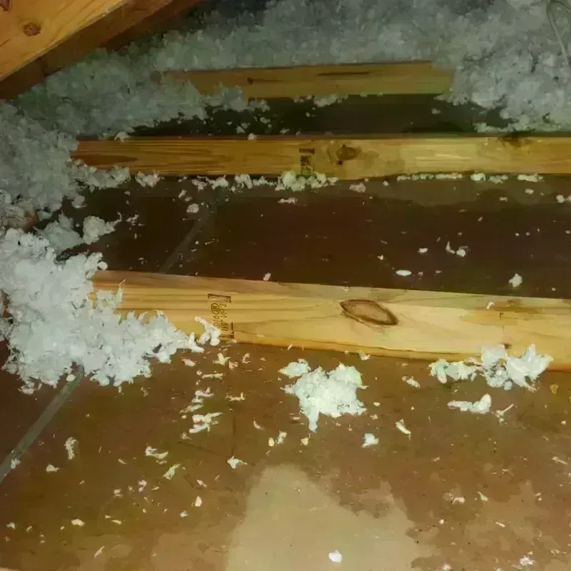 Attic Water Damage in Maria Antonia, PR